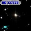 HD 237576