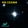 HD 233304