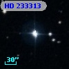 HD 233313