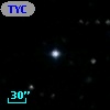 TYC 1732-1370-1