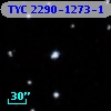 TYC 2290-1273-1