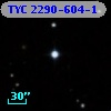 TYC 2290-604-1