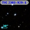 TYC 2303-929-1
