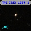 TYC 2293-1067-1
