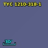 TYC 1210-318-1