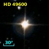 HD  49600
