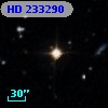 HD 233290