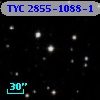 TYC 2855-1088-1