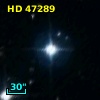 HD  47289