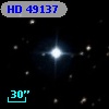 HD  49137
