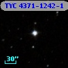 TYC 4371-1242-1