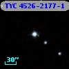 TYC 4526-2177-1