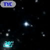 TYC 1353-13-1