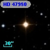 HD  47980