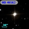 HD  48562
