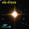 HD  47019
