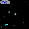 TYC 1931-262-1