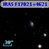 IRAS F17021+4621