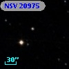 NSV 20975