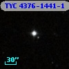 TYC 4376-1441-1