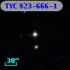TYC  823-666-1