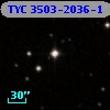 TYC 3503-2036-1