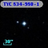 TYC  834-980-1