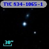 TYC  834-1065-1
