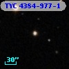 TYC 4384-977-1