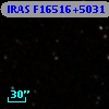 IRAS F16516+5031