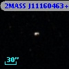 2MASS J11160463+1735029