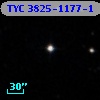 TYC 3825-1177-1