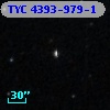 TYC 4393-979-1