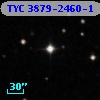 TYC 3879-2460-1