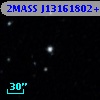 2MASS J13161802+4247336