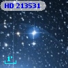 HD 213531