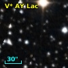 V* AY Lac