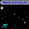 2MASS J17513175+2311056