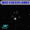IRAS F16319+6004