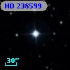 HD 238599
