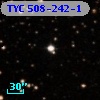 TYC  508-242-1