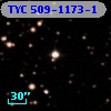 TYC  509-1173-1