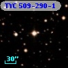 TYC  509-290-1