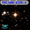 TYC  509-1278-1