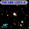 TYC  509-1372-1