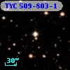 TYC  509-803-1