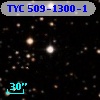 TYC  509-1300-1
