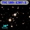 TYC  509-1207-1