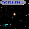 TYC  509-590-1