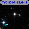 TYC 4246-1299-1